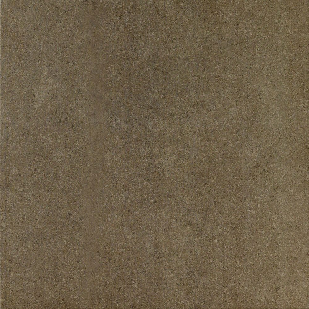 610010000711.jpg