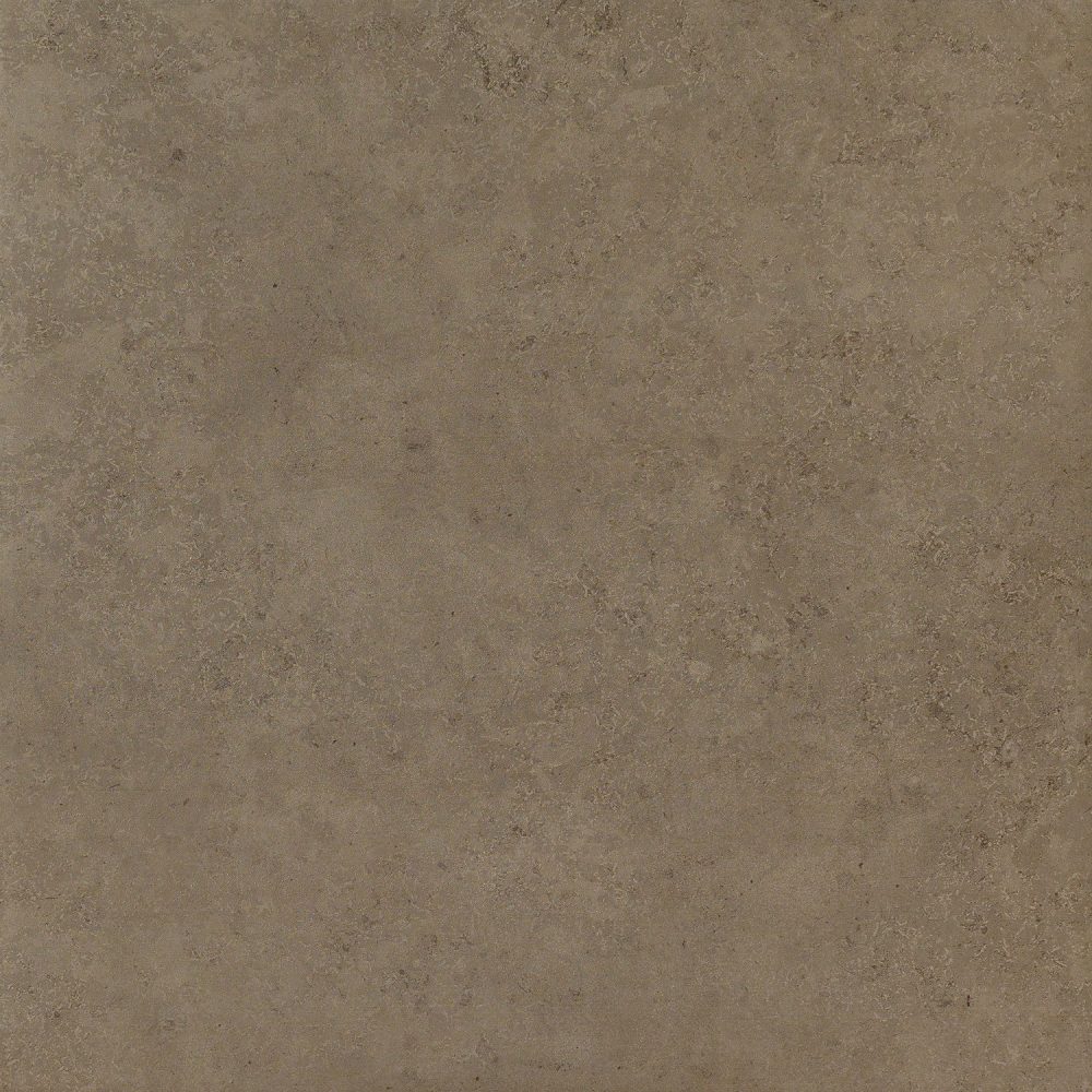 610010000725.jpg