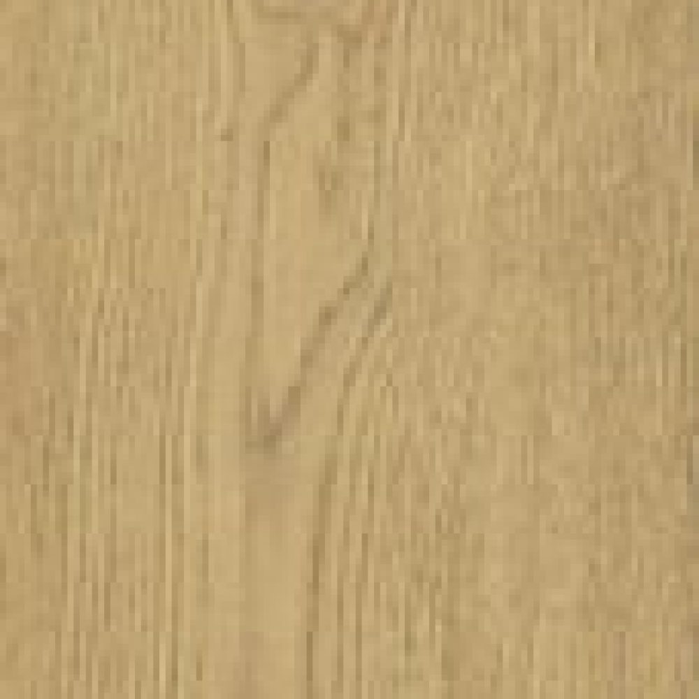 610010004179