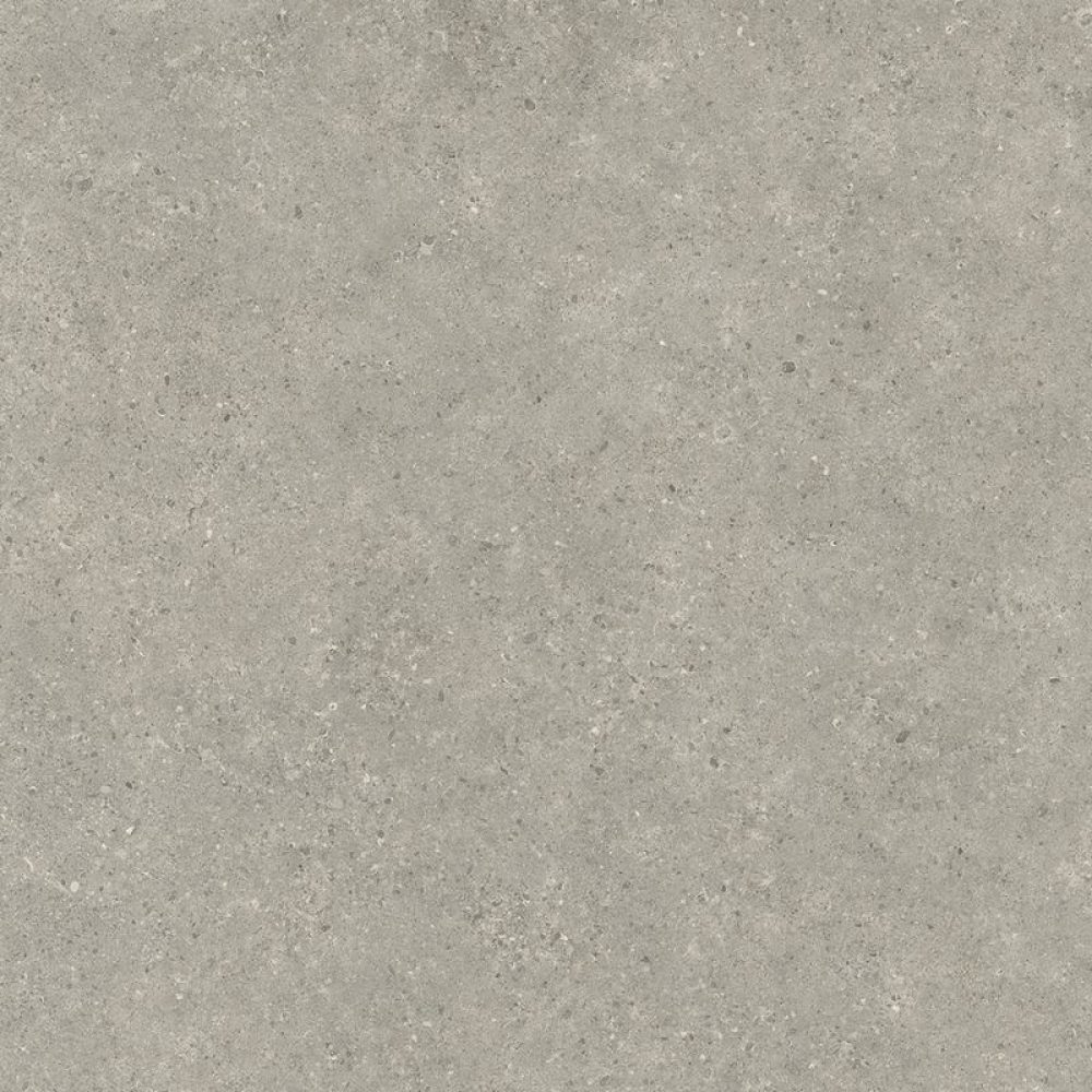 610010006216