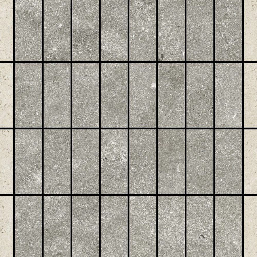 620110000256
